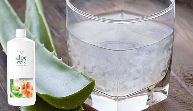 aloe vera jel icecek balli