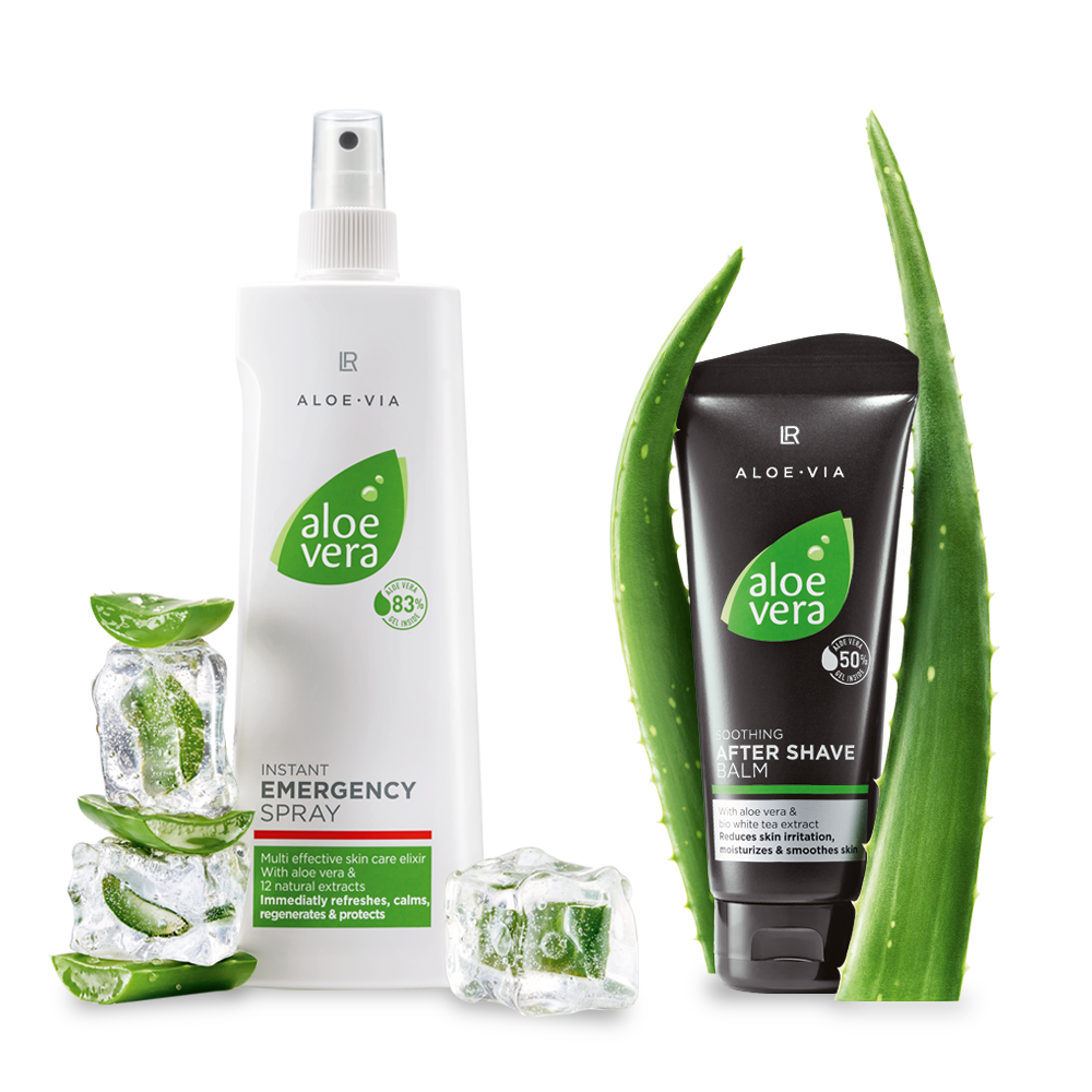 Линейка алоэ ЛР. Lr aloe vera