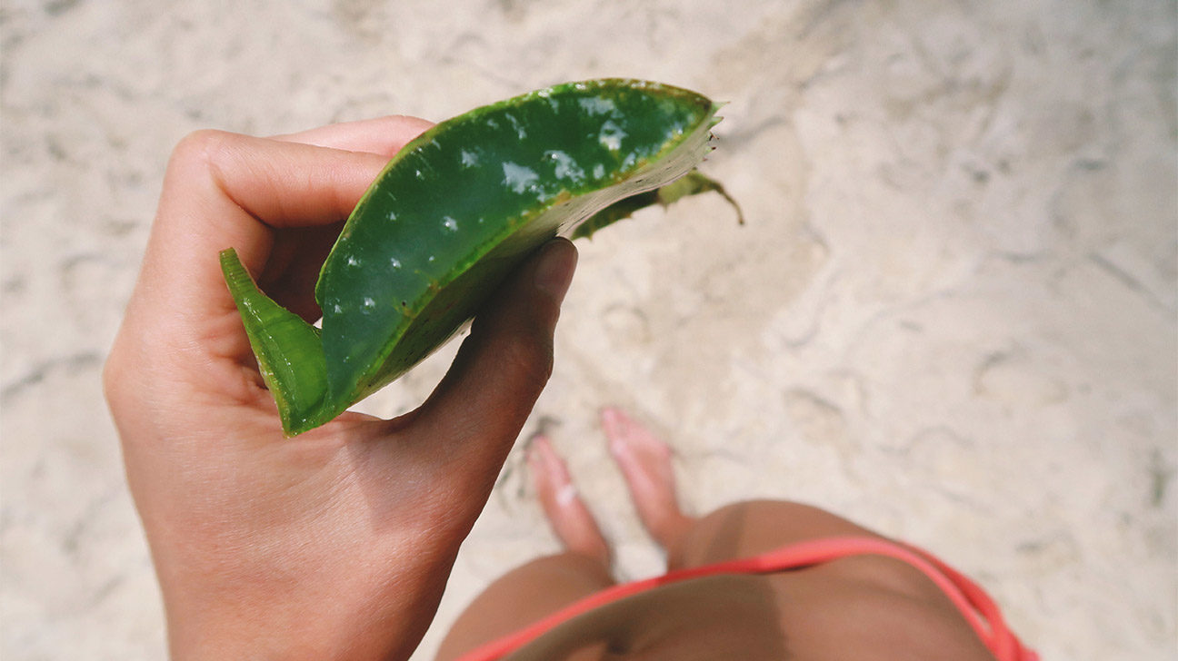 aloe vera gunes yaniklari etkisi